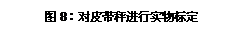 文本框: 圖8：對皮帶秤進行實物標定

