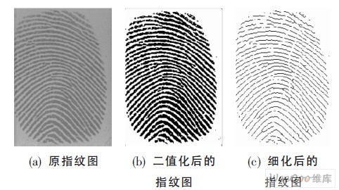 原圖與處理后的指紋圖像對比