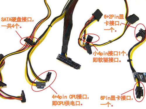 硬盘口、CPU口、软驱口和显卡口