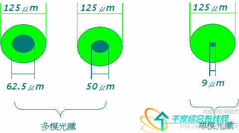 光纤的尺寸