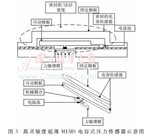 zs3-t3.gif