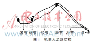六足仿生蟑螂机器人设计