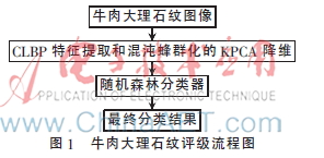 基于CLBP、改进KPCA和RF的牛肉大理石纹评级