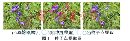 结合蚁群和自动区域生长的彩色图像分割算法