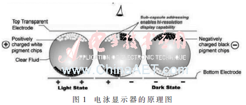 wdz1-t1.gif