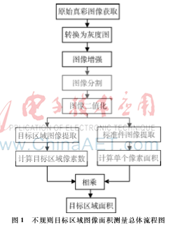 基于不規(guī)則圖像面積測量的窄體舌鰨個(gè)體重量估計(jì)