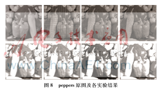 圖像 008.png