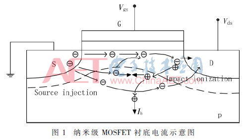 wdz1-t1.gif