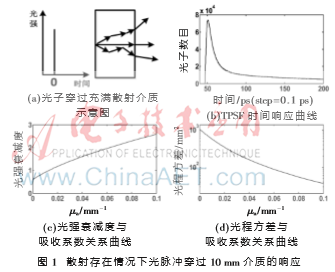 基于Monte Carlo仿真的降低光譜散射方法比較研究