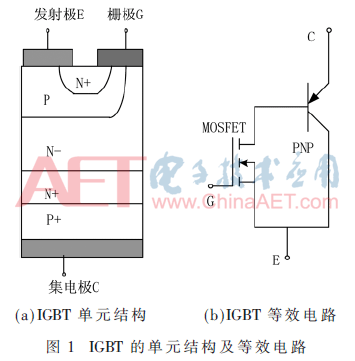 wdz5-t1.gif