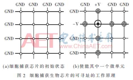 ck4-t2.gif