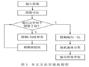 結合分塊模糊熵和隨機森林的圖像分類方法
