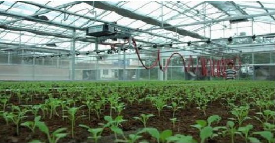 1551766026(1).jpg 1551766026(1).jpg